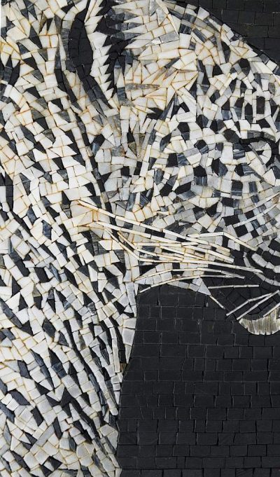 The Leopard - Image 3