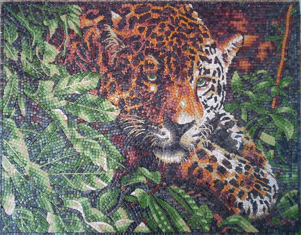 Jungle Eyes